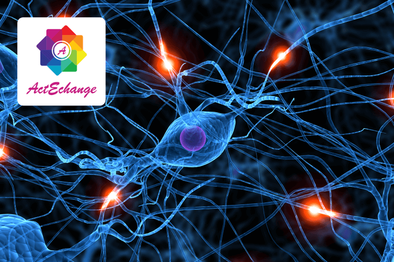 Formation professionnels santé sur les avc et pathologies neurologiques